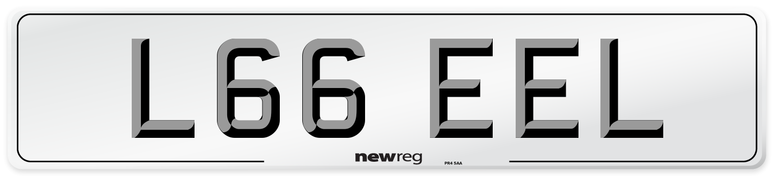 L66 EEL Number Plate from New Reg